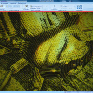 Software «Regula Forensic Studio»